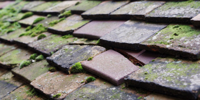 Waterend roof repair costs